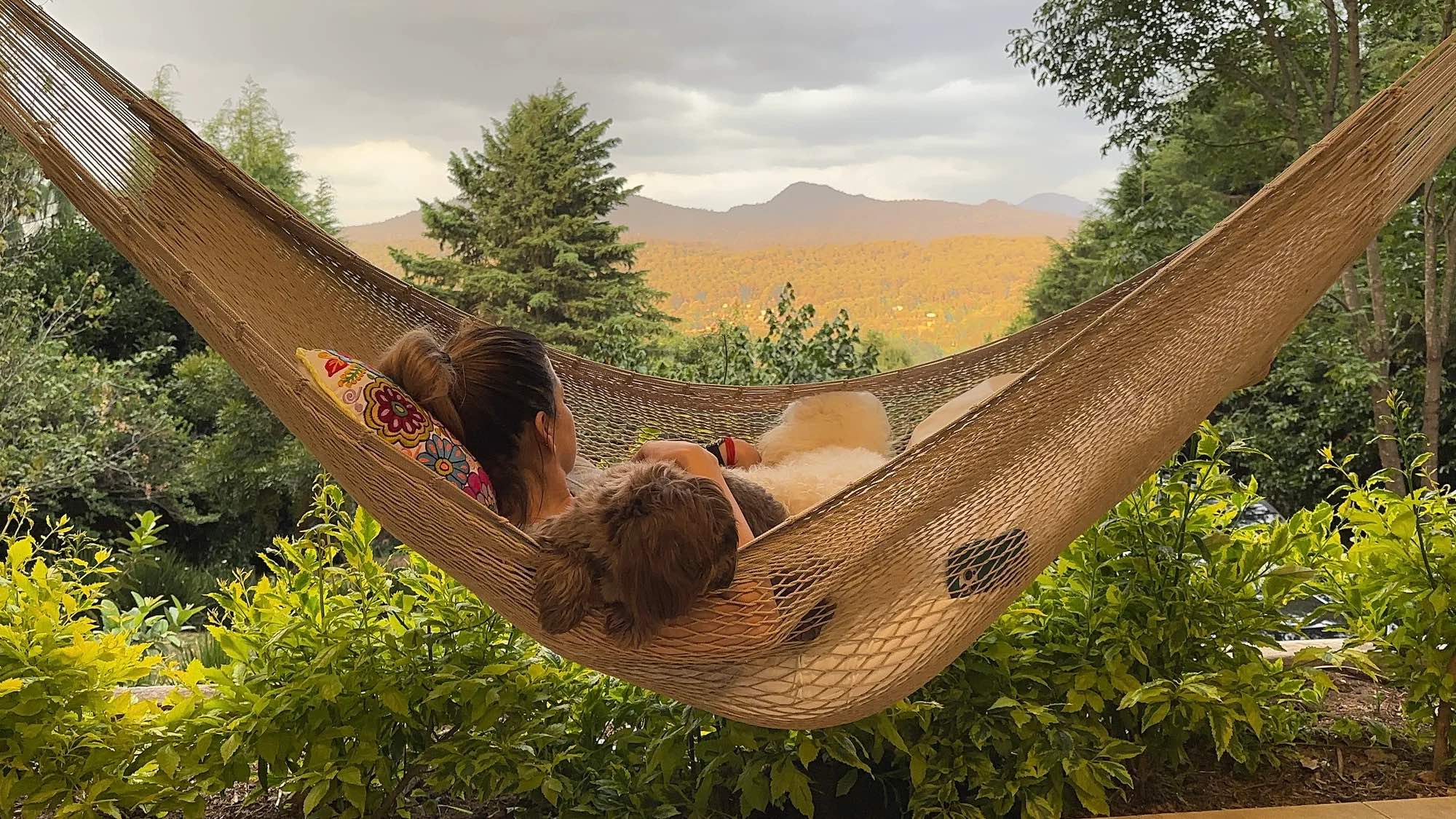 Person and dog lying together in a hammock outdoors, facing distant mountains and trees under a cloudy sky.