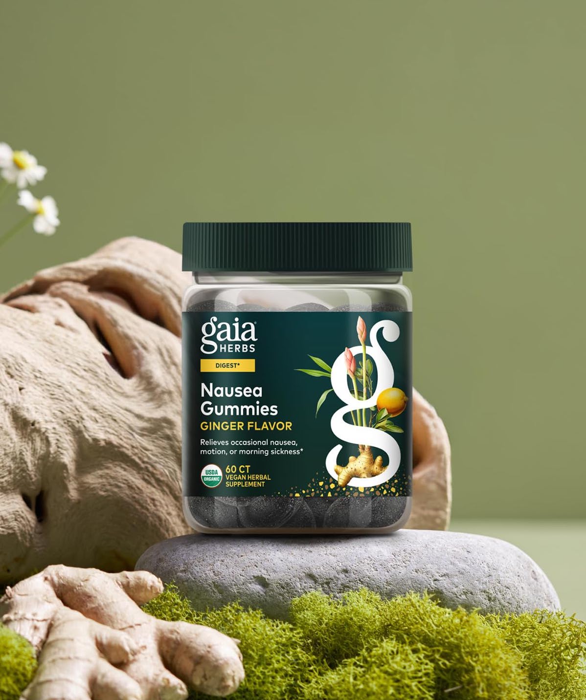 A jar of Gaia Herbs Nausea Gummies sits on a stone surface, surrounded by ginger root and greenery, with a green background.