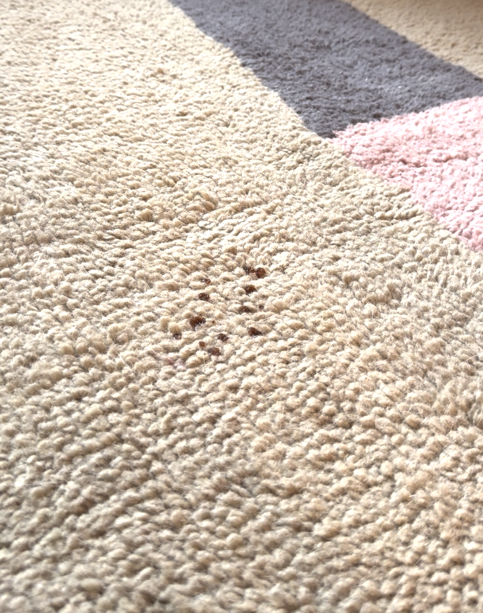 Close-up of a beige carpet with small dark stains in the center. Part of the carpet has pink and gray sections with sunlight casting a shadow.