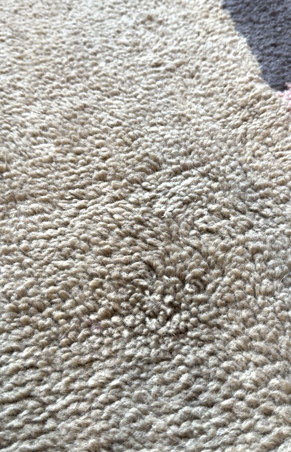 Close-up view of a beige, textured carpet with tightly packed fiber loops and slight variations in color.