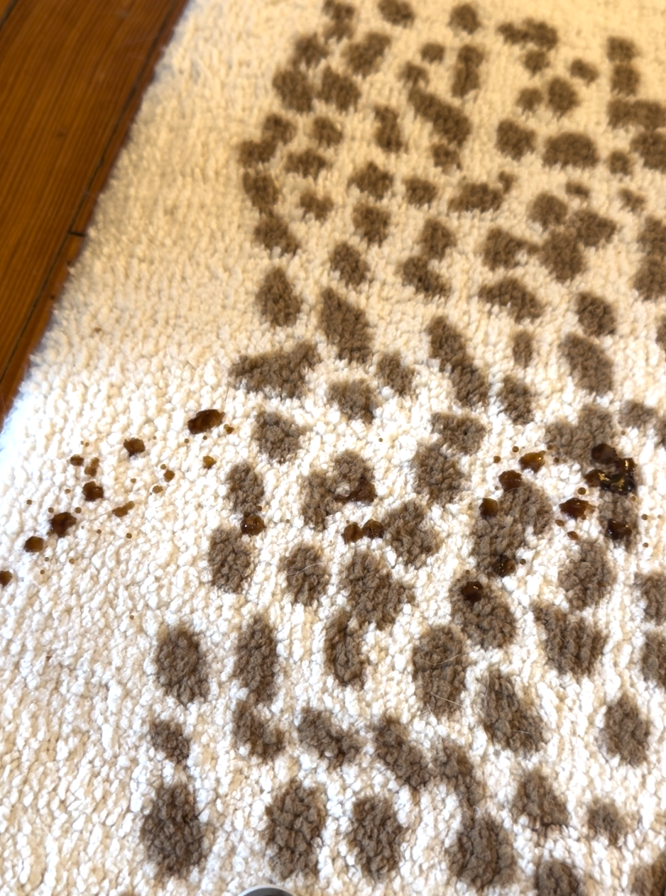 Close-up of a white carpet with brown stains and a spotted pattern, some stains appearing wet or recently spilled.