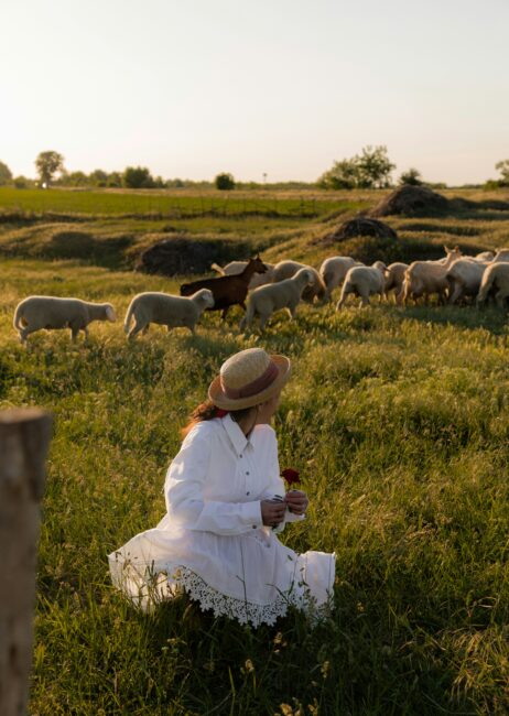 A person in a white dress and straw hat kneels in a grassy field, holding flowers, with a flock of sheep and a goat grazing in the background under a clear sky.