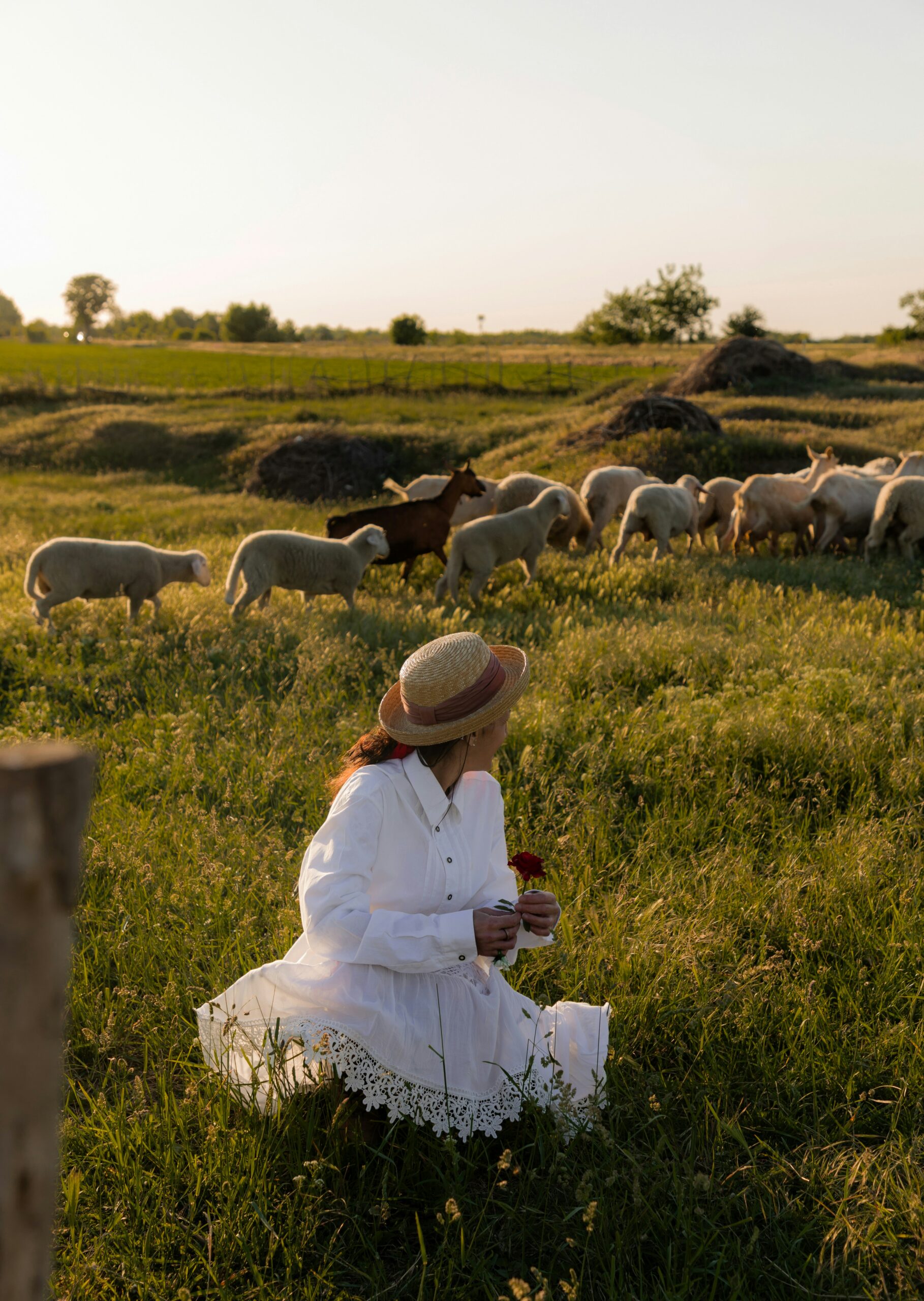 A person in a white dress and straw hat kneels in a grassy field, holding flowers, with a flock of sheep and a goat grazing in the background under a clear sky.