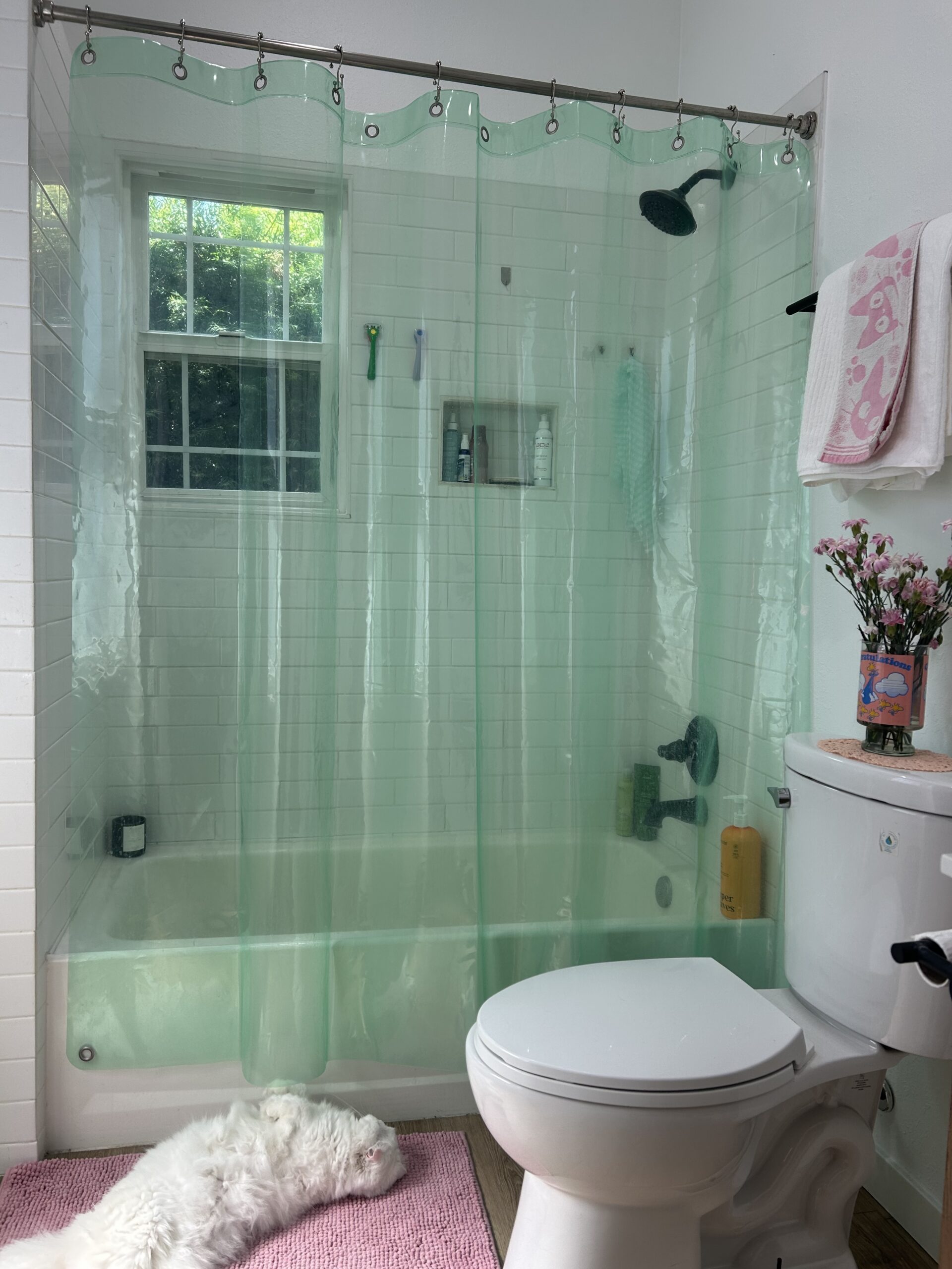 Bathroom with a white toilet, clear shower curtain, pink rug, and a white cat lying on the rug. There’s a window, shower products on the wall, and a flower vase on the toilet tank.