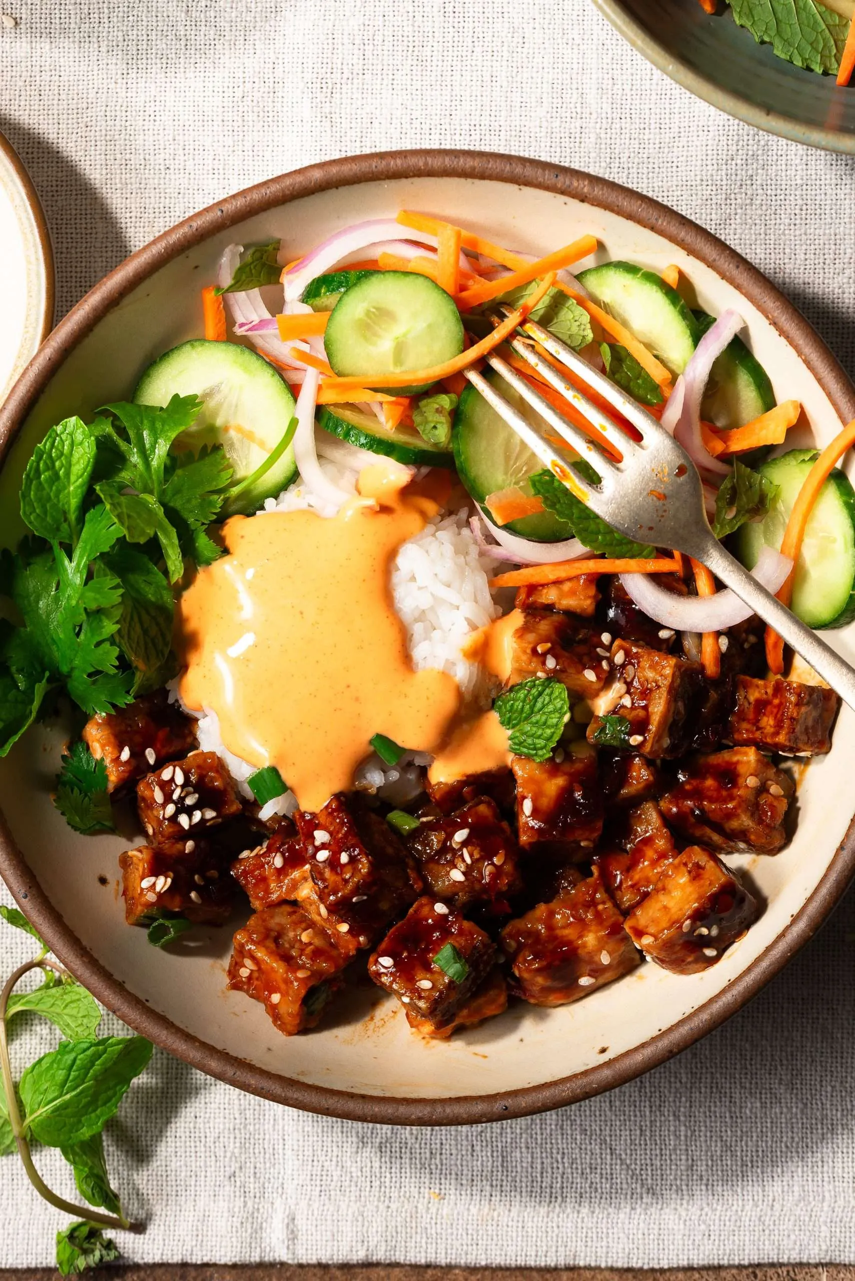 A bowl with rice, glazed tofu cubes, sliced cucumber, carrots, red onion, fresh mint, and a creamy orange sauce, served with a fork.