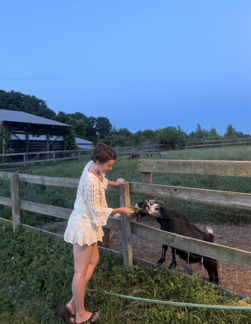 A person standing by a wooden fence, feeding a goat.