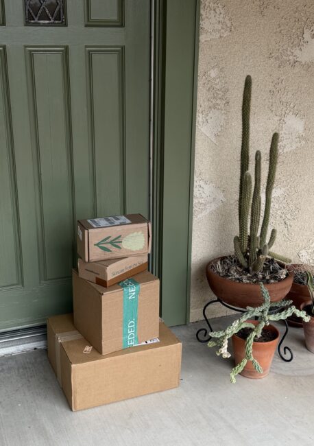 A stack of four cardboard shipping boxes sitting on a porch next to two potted cacti and a green front door.