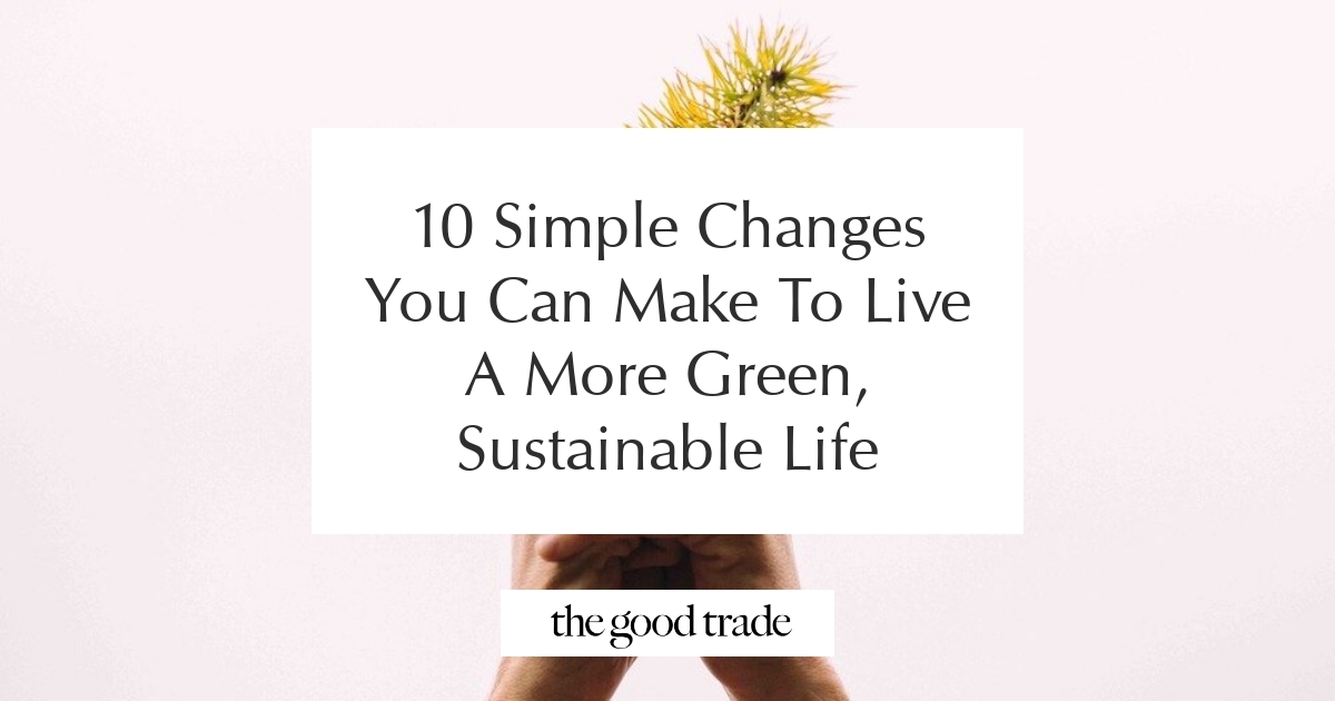 10 Simple Changes You Can Make To Live A More Green, Sustainable Life ...