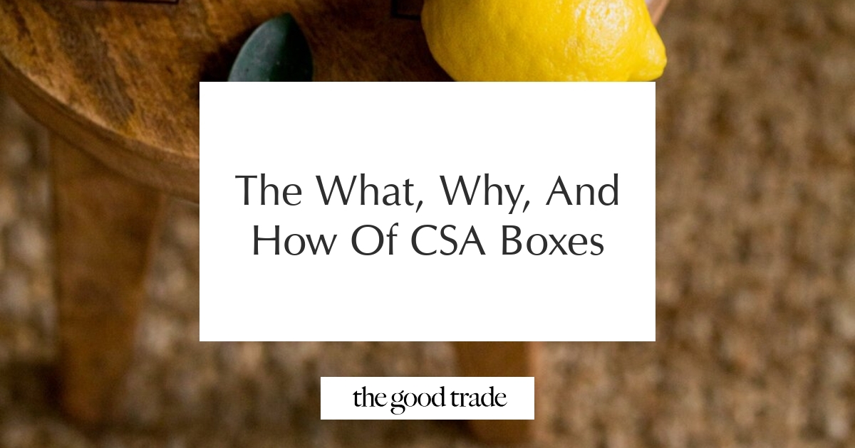 The What, Why, And How Of CSA Boxes - The Good Trade